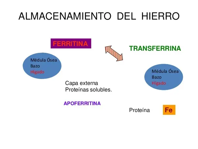 Almacenamiento