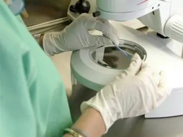 medicina