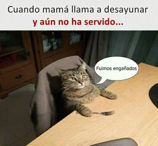 memes