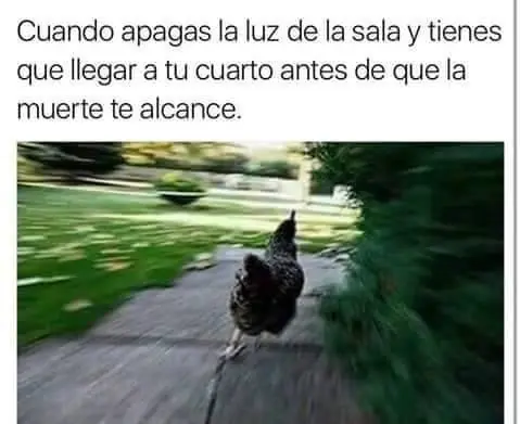 imagenes