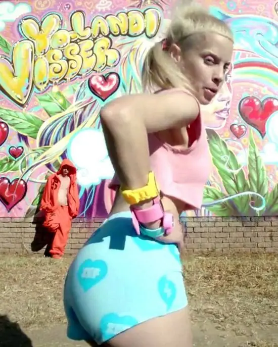 Die Antwoord