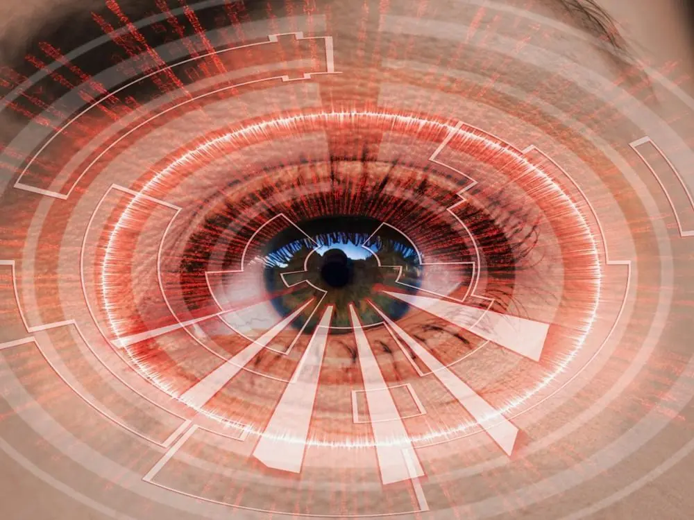Curiosidades sobre los ojos