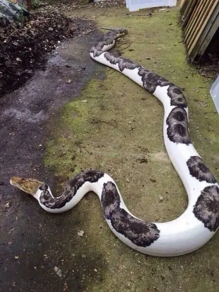 imagenes divertidas