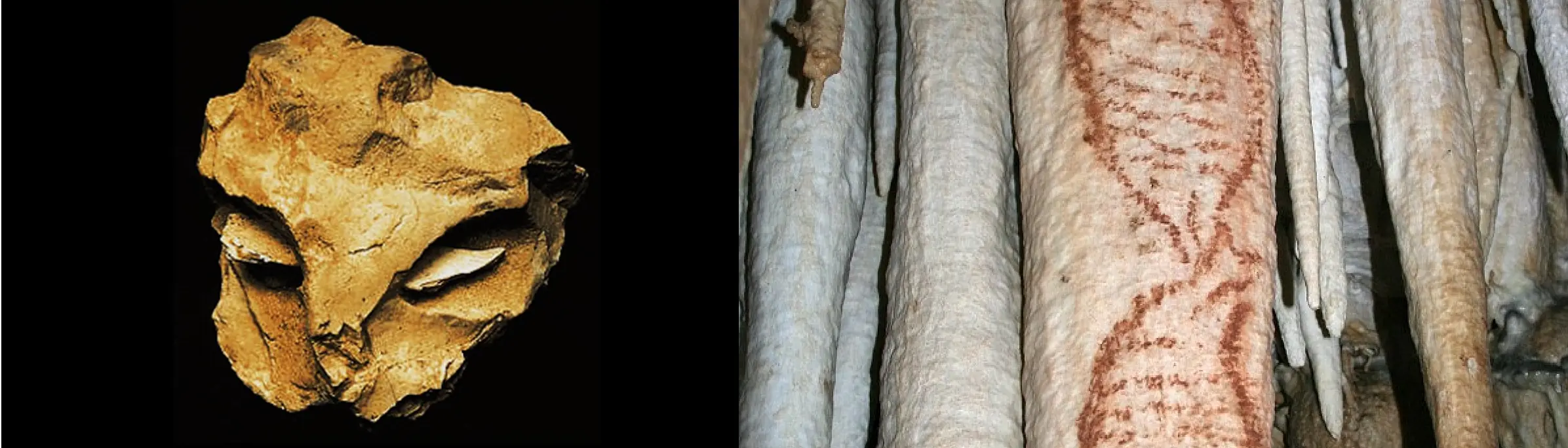 homo neanderthalensis