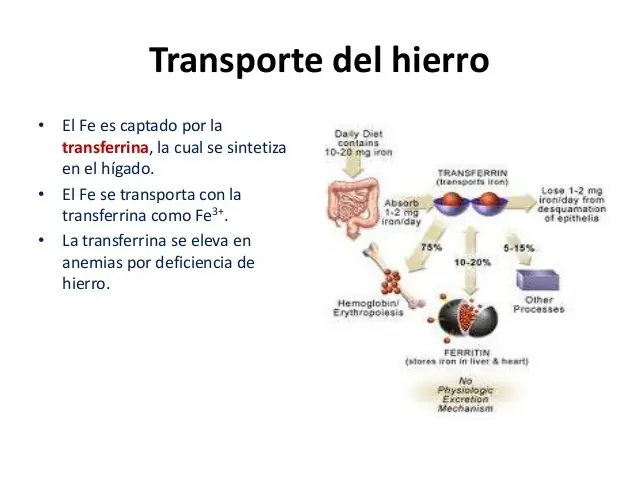 Quimica
