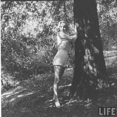 La revista Life publicó fotos inéditas de Marilyn Monroe La revista Life publicó fotos inéditas de Marilyn Monroe