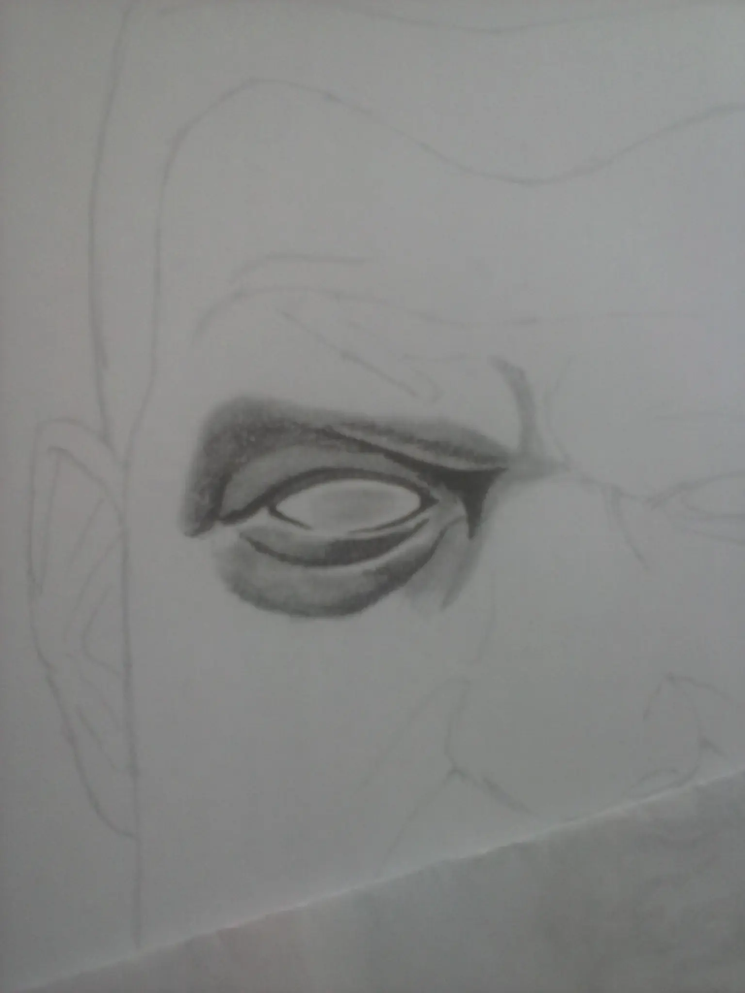 retrato