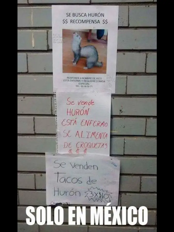 denuncia