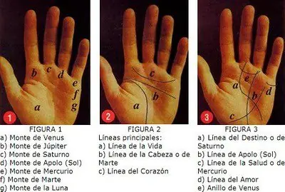 adivinacion de la mano futuro gratis