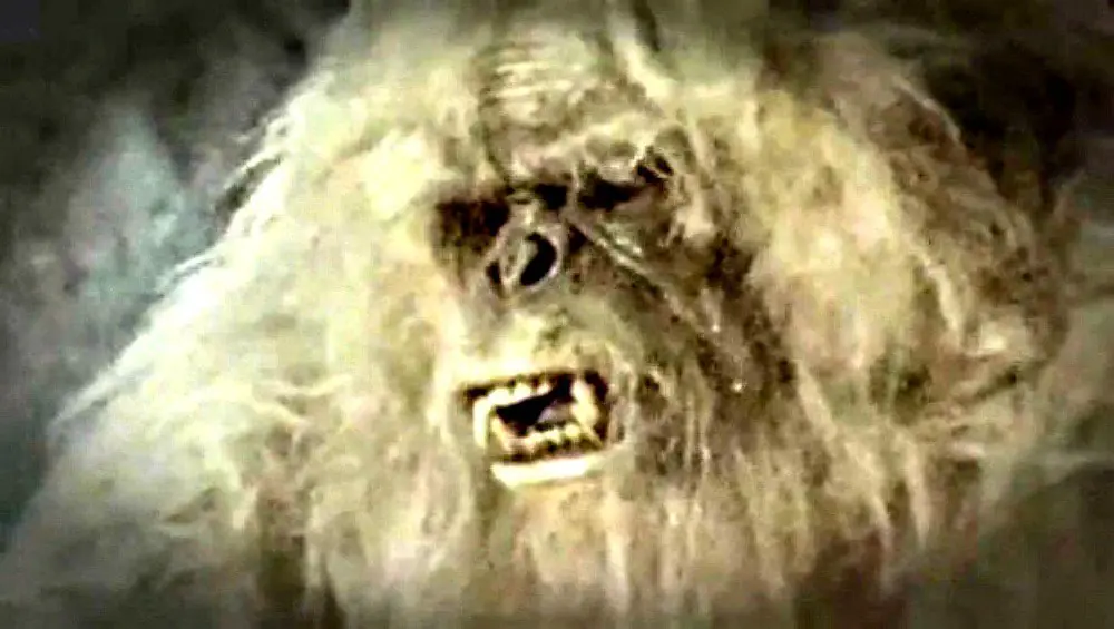 yeti yeti