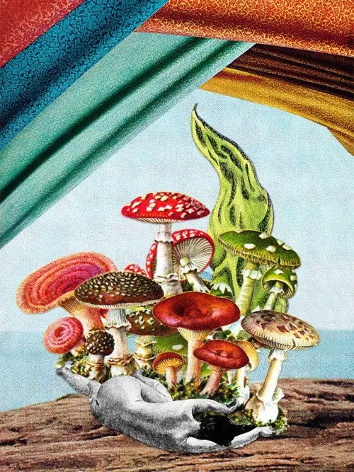 collage