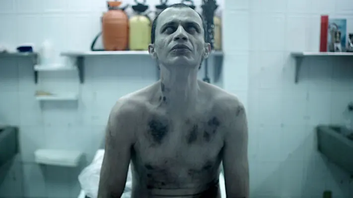 Los zombies existen y viven entre nosotros.