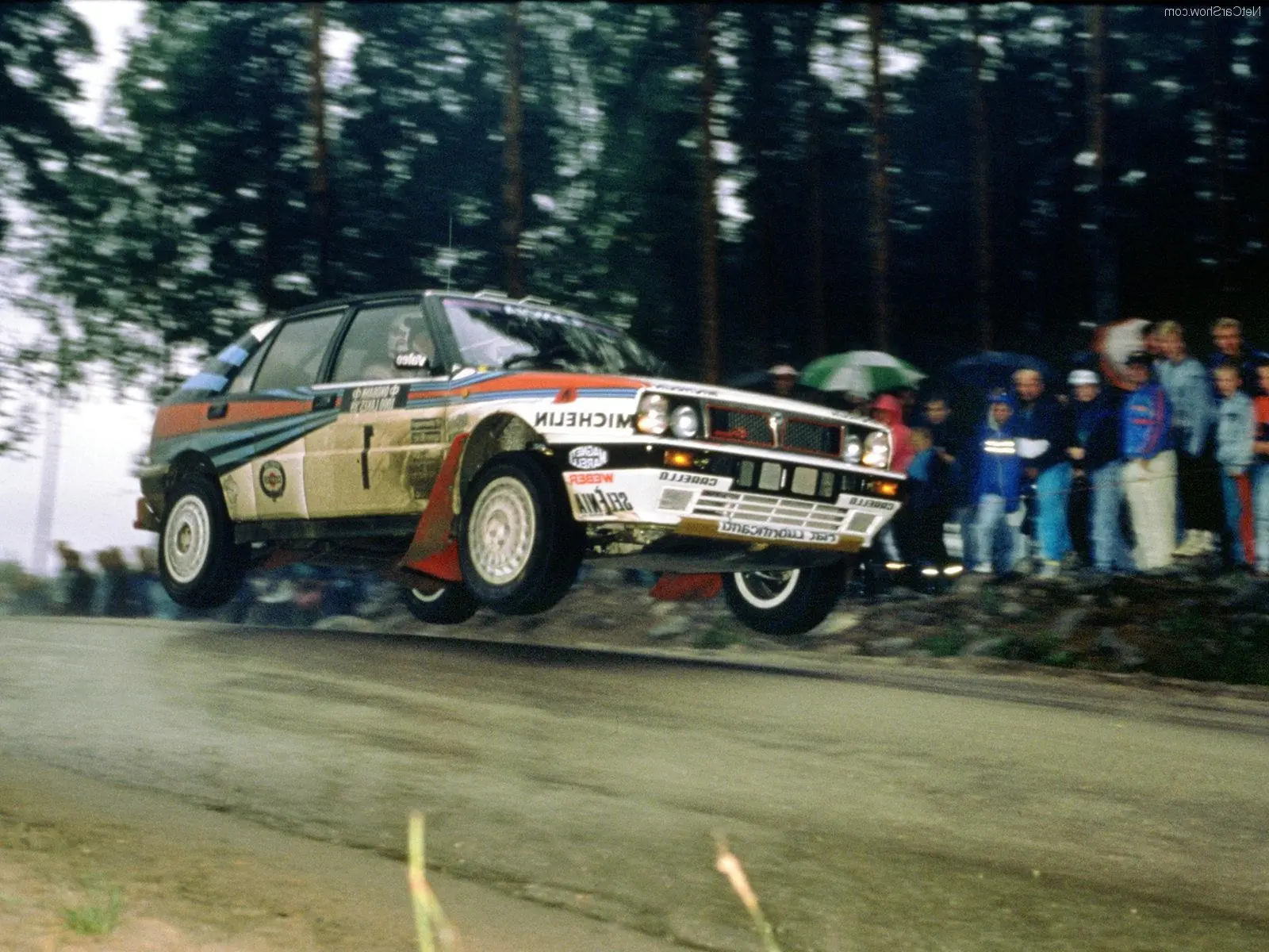 Rally Rally