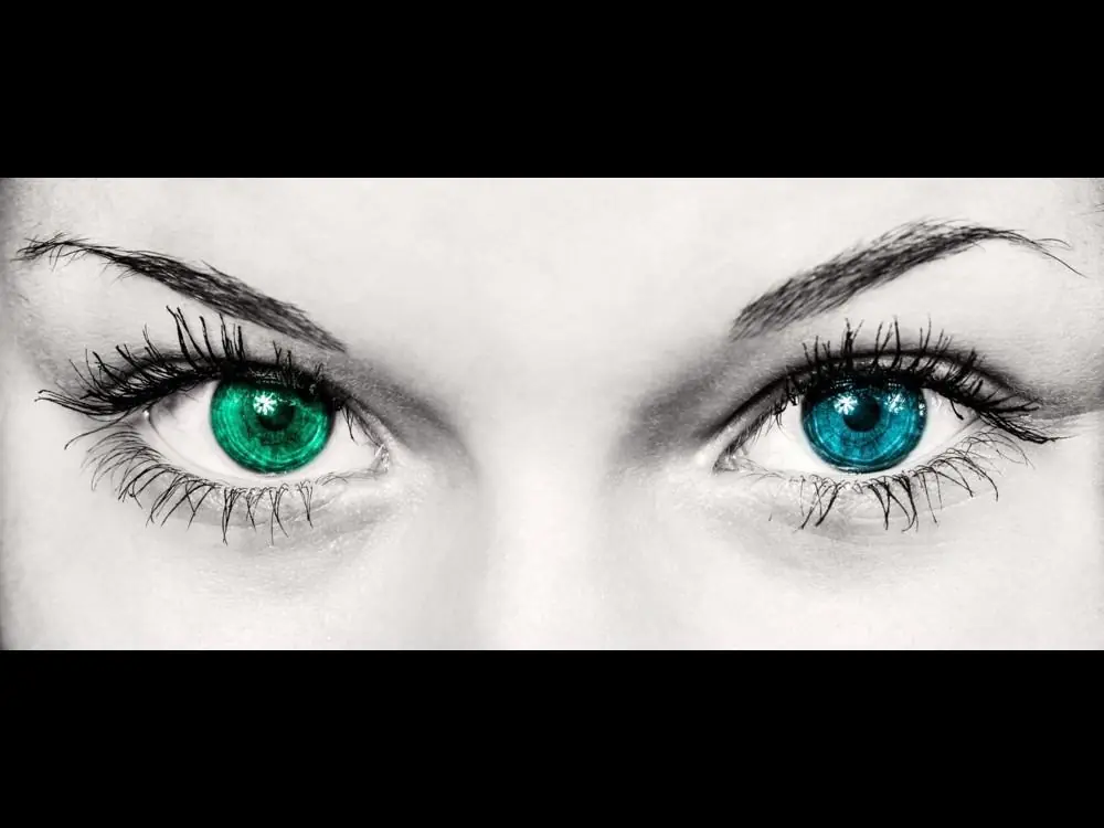 Ojos