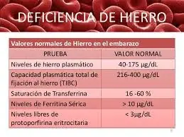 Nutricion