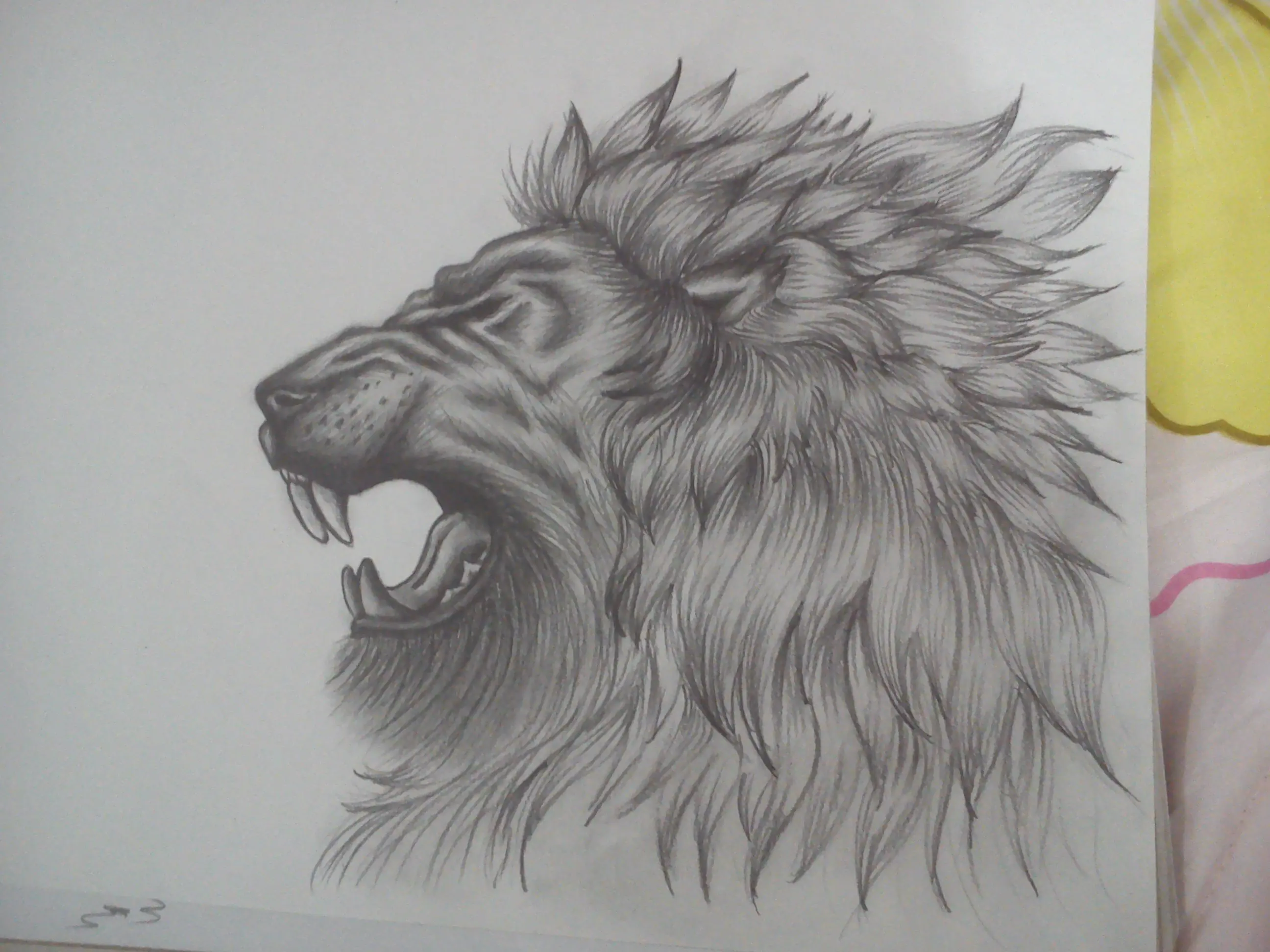 dibujo