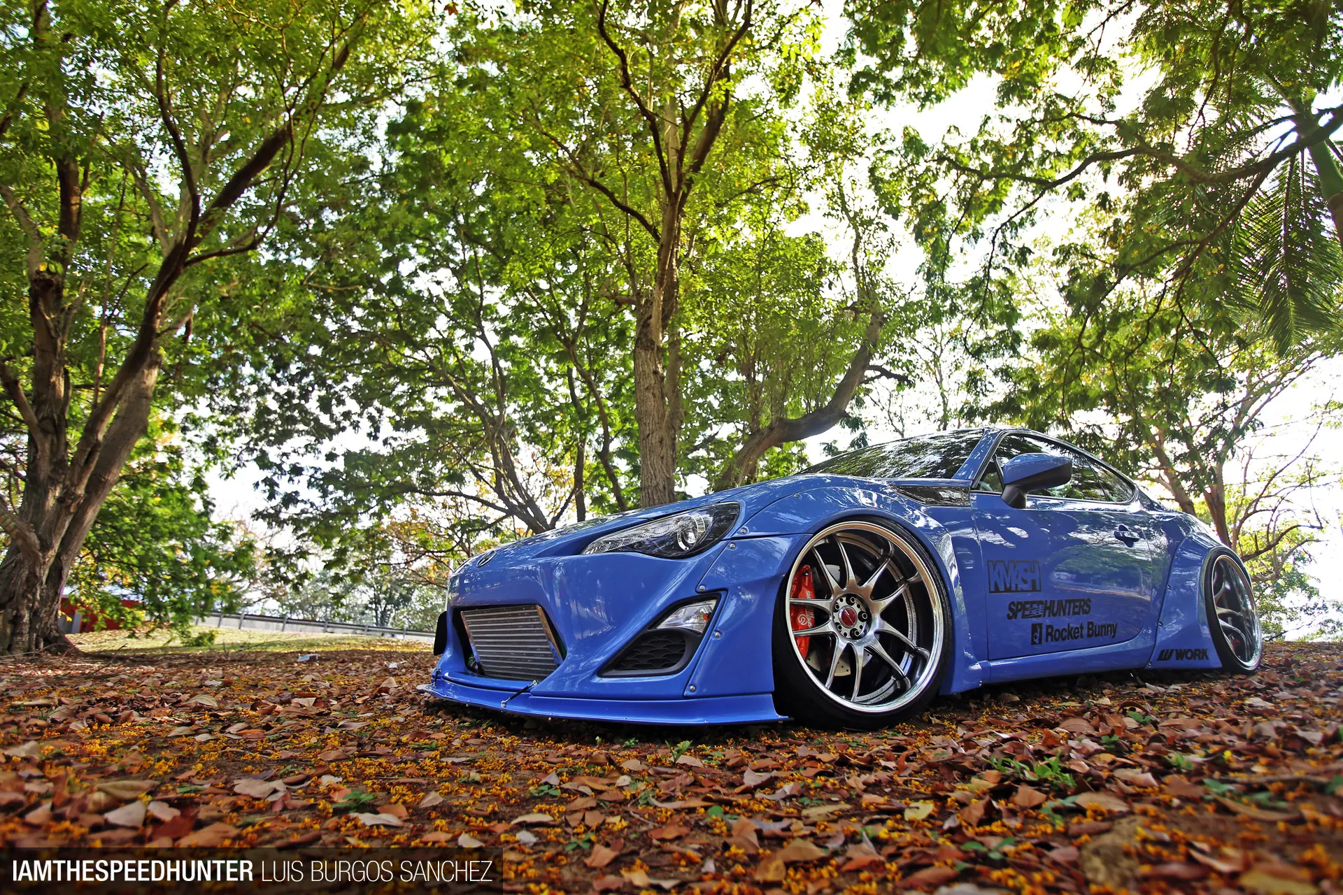 scion