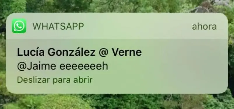 permite permite