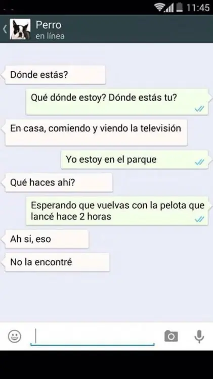 Conversaciones que te mandaría tu perro si tuviera Whatsapp