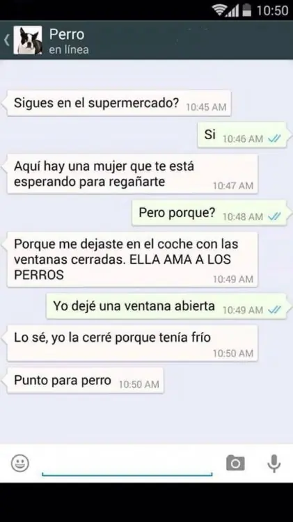 tuviera
