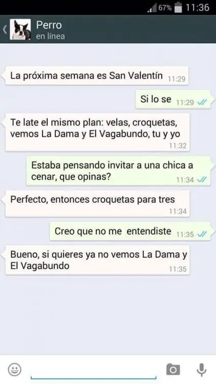 Conversaciones que te mandaría tu perro si tuviera Whatsapp