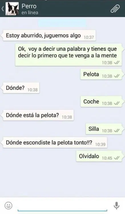 conversaciones