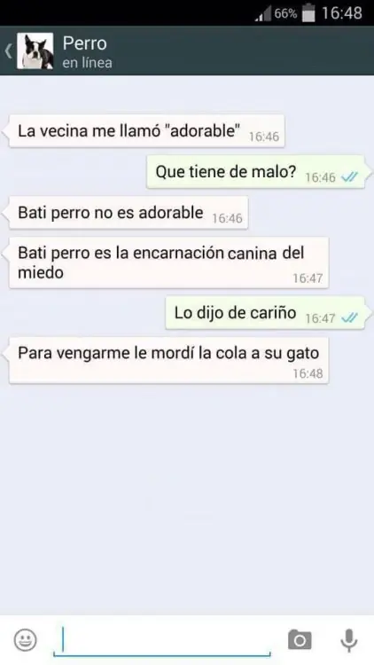 tuviera