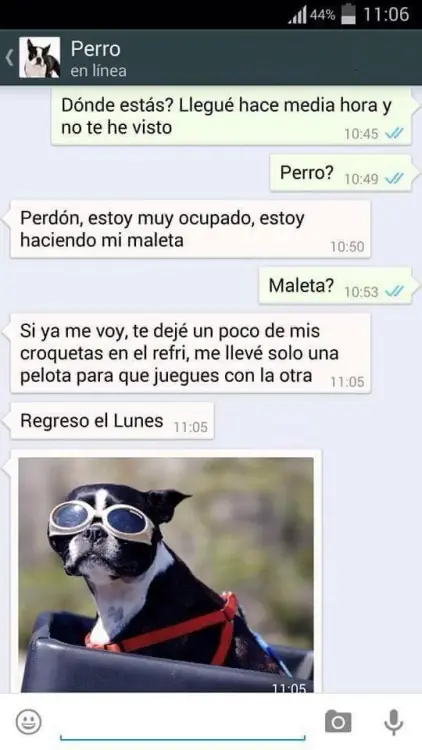 conversaciones