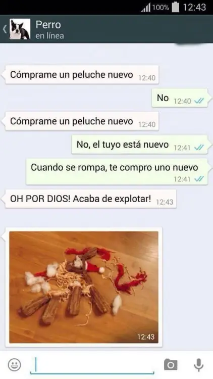 perro