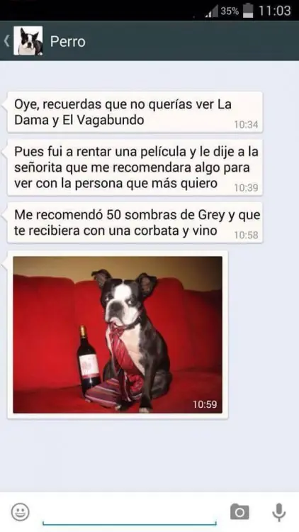 Conversaciones que te mandaría tu perro si tuviera Whatsapp