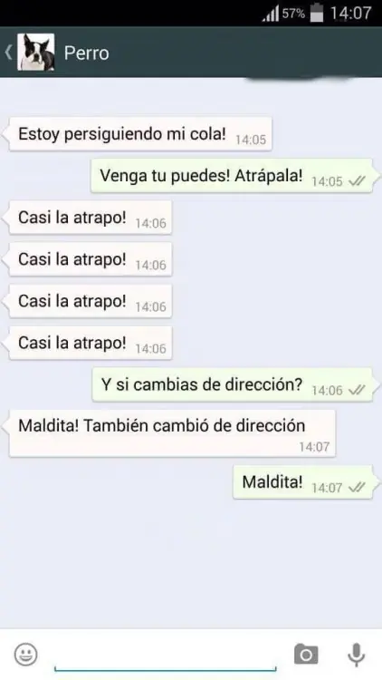 tuviera
