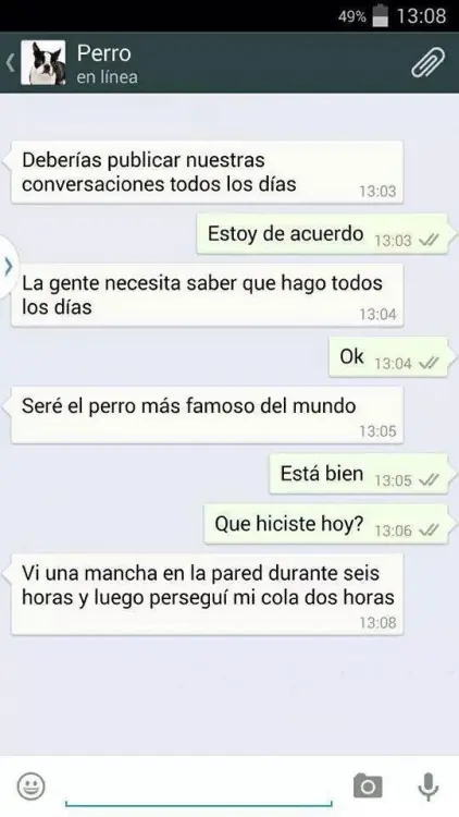 conversaciones
