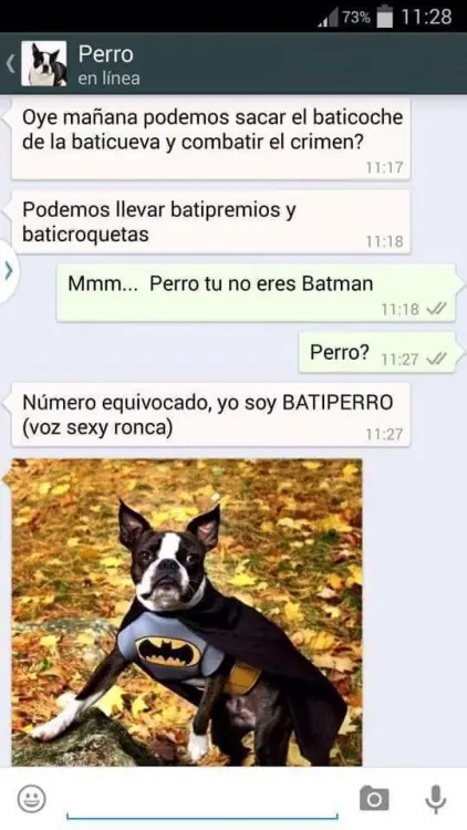 perro