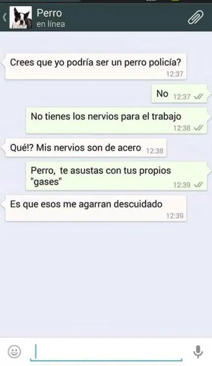 tuviera