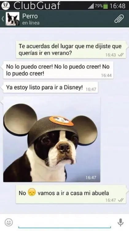 Conversaciones que te mandaría tu perro si tuviera Whatsapp