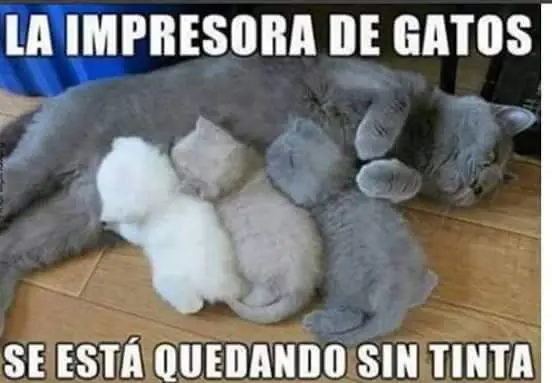 Imágenes de humor nocturno Parte- 42