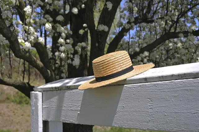 10 cosas que no sabías sobre los amish