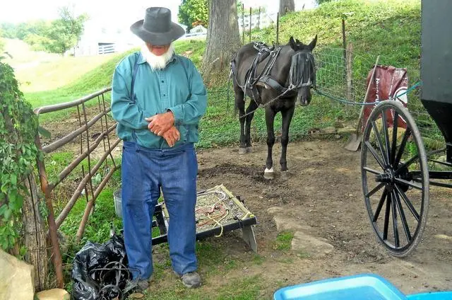 Amish