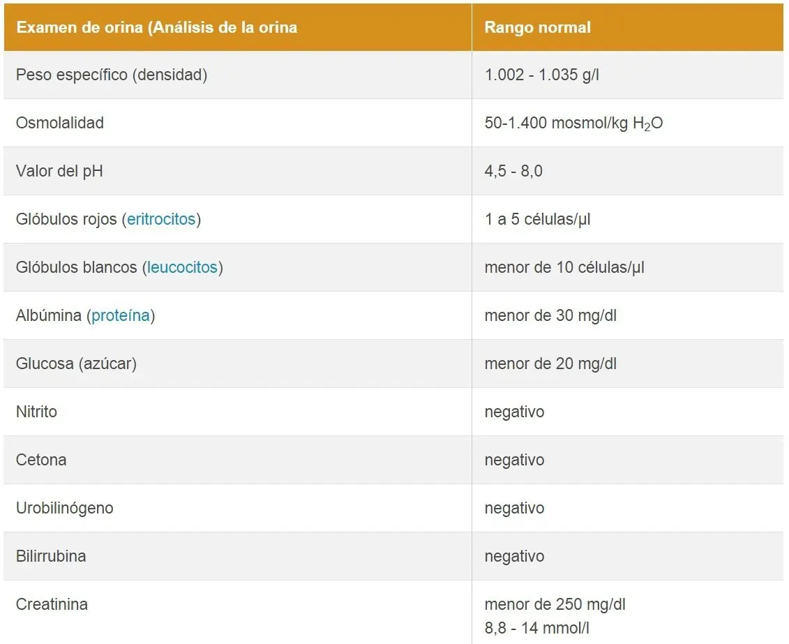 Bioquimica