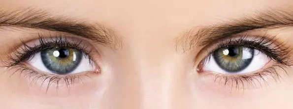 ojos