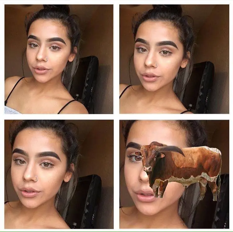 memes