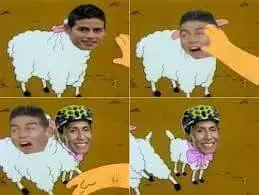 memes