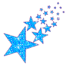 Estudiantes argentinos descubren estrellas en Cruz del Sur
