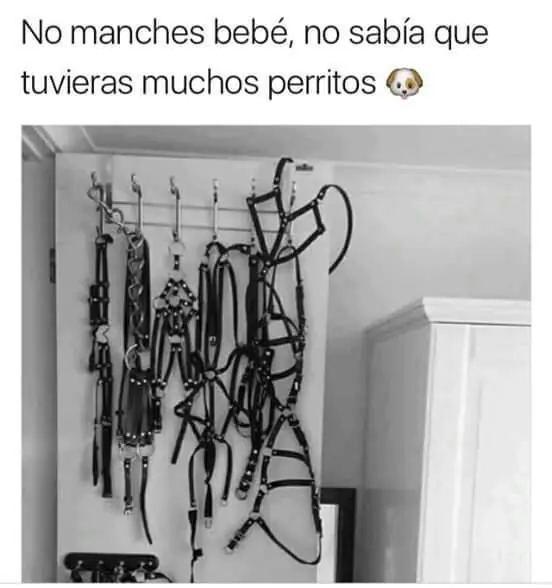 humor
