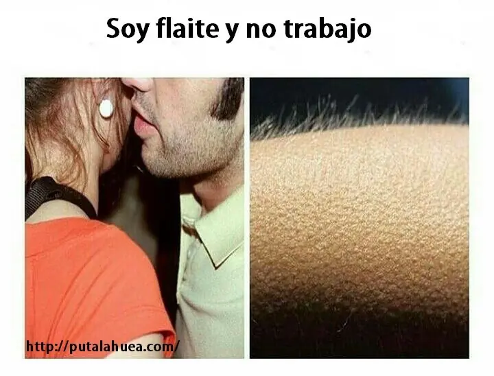 compilado