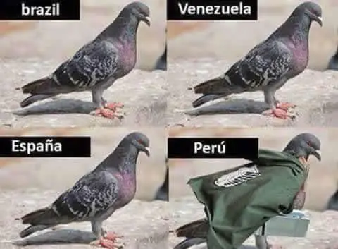 Reir