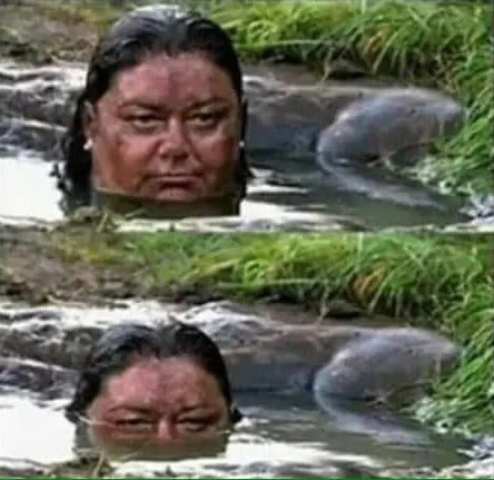 Imagenes