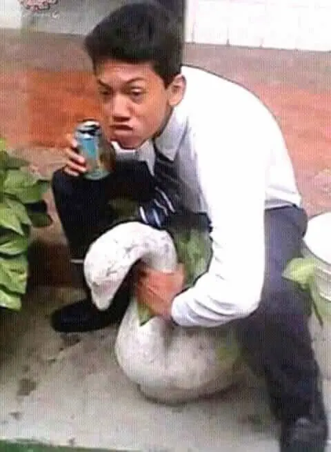 Jajaja