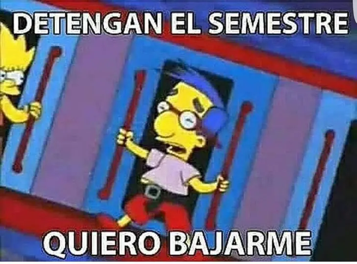Jajaja