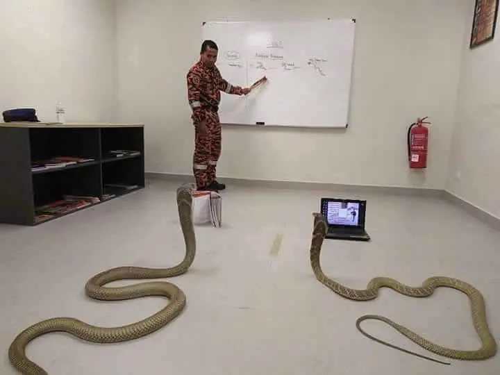 Humor para antes de Dormir